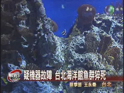 疑機器故障 台北海洋館魚群猝死 | 華視新聞