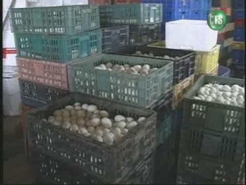 戴奧辛鴨 飼料遭污染 | 華視新聞