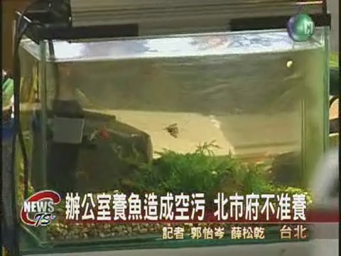 養魚汙染空氣 北市府下禁令 | 華視新聞