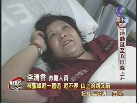 胡蜂攻擊登山客 1女子昏迷致死 | 華視新聞