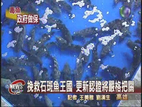 挽救石斑魚王國 新認證嚴格把關 | 華視新聞