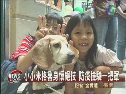 緝私犬亮相 小米格魯立大功 | 華視新聞