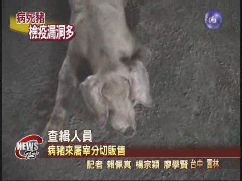 雲林爆 病死豬肉混充合格肉 騙人 | 華視新聞