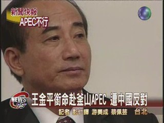 王金平任APEC特使遭中國反對