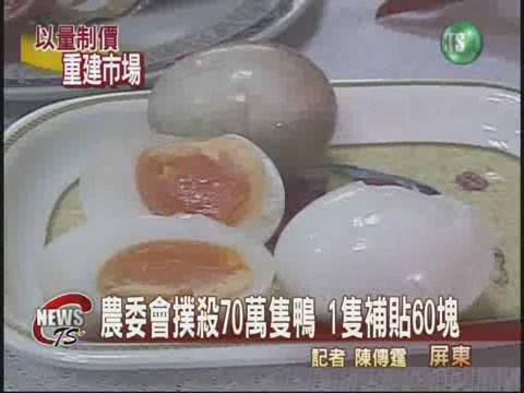奧戴辛毒害 拖累本土鴨產滯銷 | 華視新聞