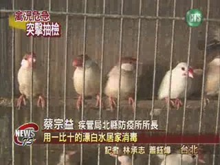 防範禽流感 稽查鳥園 養雞場