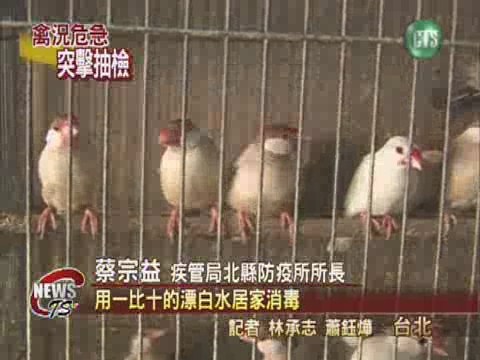 防範禽流感 稽查鳥園 養雞場 | 華視新聞