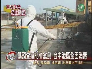 查獲H5N1禽鳥 海巡人員忙消毒