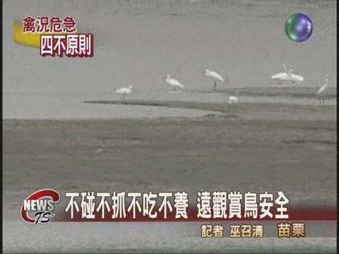 賞鳥防疫有撇步保持距離最安全 | 華視新聞