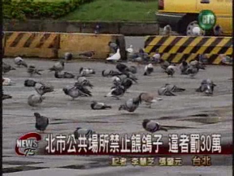 公共場所禁餵鴿北市開罰防禽流 | 華視新聞