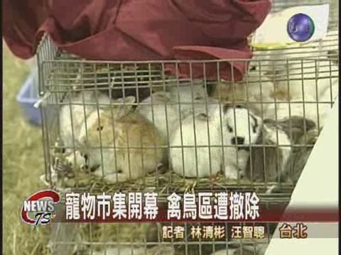 寵物市集開幕 禽鳥區遭撤除 | 華視新聞