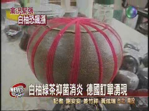 抗禽流感有奇效德搶購白柚綠茶 | 華視新聞