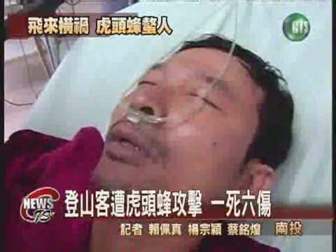 登山客遭虎頭蜂攻擊 一死六傷 | 華視新聞