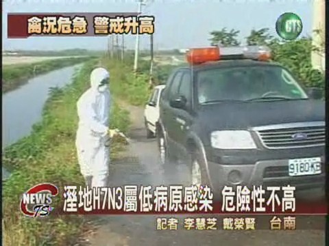 四草溼地淪陷 驗出禽流感病毒 | 華視新聞