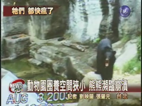 動物園空間小 熊類瀕臨崩潰 | 華視新聞
