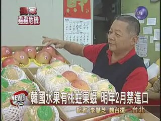 韓國水果大賣 農委會:有蟲要禁