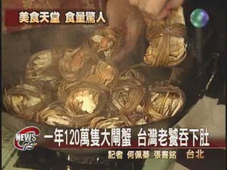 台灣老饕 一年嗑120萬隻大閘蟹