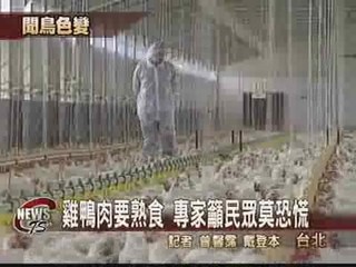 禽流感人人驚 台灣防疫沒問題