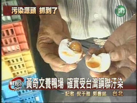 戴奧辛鴨蛋污染源頭 確定是鋼聯 | 華視新聞