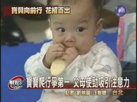 寶寶爬行賽 父母賣力搶第一 | 華視新聞