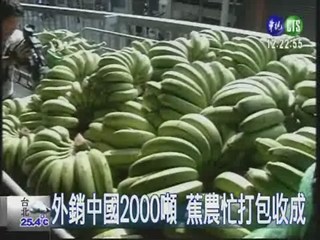 中國收購香蕉 農民:無實質幫助