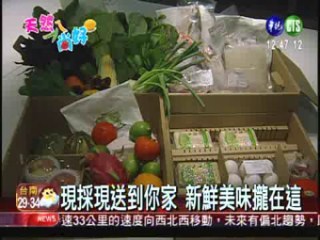 土雞除害蟲 有機農場"好員工" | 華視新聞