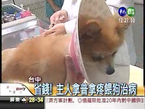 狗感冒餵普拿疼 連吃3天肝中毒 | 華視新聞