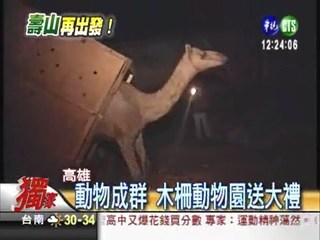 壽山動物園整修 運送動物大工程