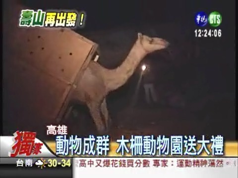 壽山動物園整修 運送動物大工程 | 華視新聞