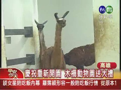 壽山動物園整修 動物南遷大工程 | 華視新聞