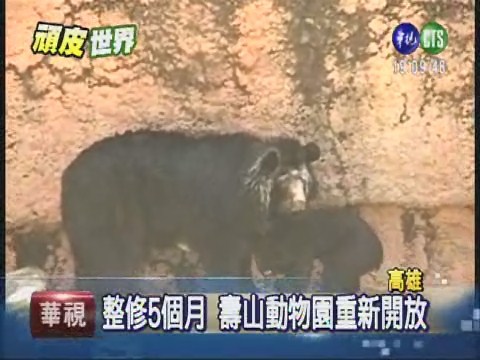 夜遊壽山動物園 搶先來體驗! | 華視新聞