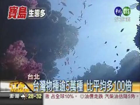 台灣海洋物種豐 比平均多400倍 | 華視新聞