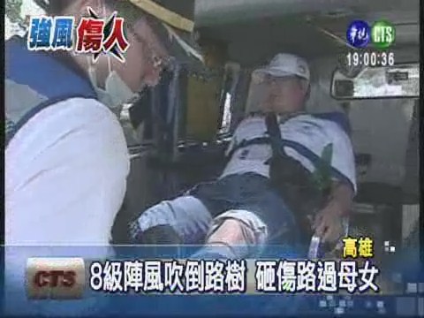 高雄8級強陣風 吹斷樹壓傷人.車 | 華視新聞