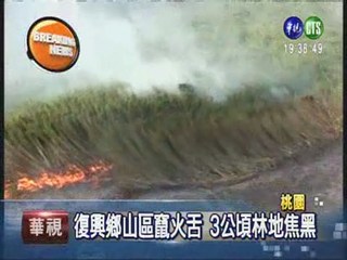 桃園山林火警 直升機出動灌救