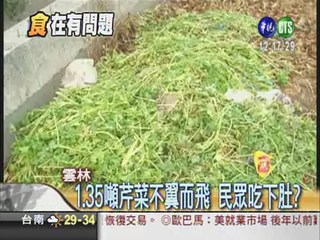 越南芹農藥過量 1.35噸吃下肚?
