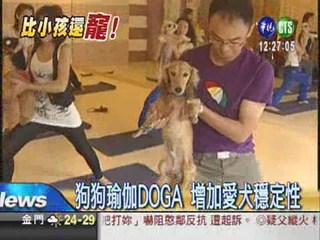 台灣人愛狗 寵物商機無限!