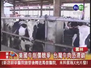 反美牛肉! 台灣養牛戶抗議