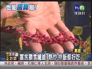 穀物中的紅寶石! 台灣蔾好養生