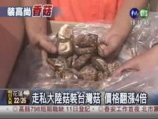 大陸菇裝台灣菇 價格翻漲4倍