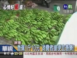 香蕉盛產價暴跌 1斤只賣10元!