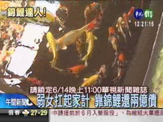 台灣錦鯉女王 靠賣魚還兩億債