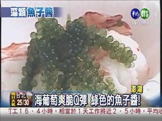 藻類"魚子醬"! 美味海葡萄