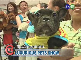 Luxurious Pets Show