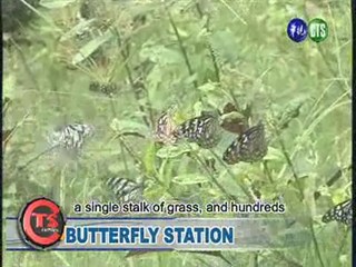 Butterfly Station