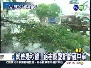 1小時的颱風! 積水.樹垮嚇壞人
