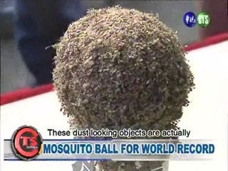 Mosquito Ball for World Record