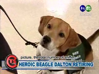 Heroic Beagle Dalton Retiring