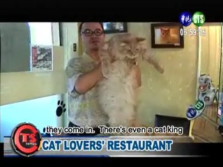 Cat Lovers' Restaurant