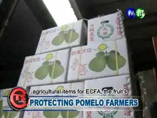 Protecting Pomelo Farmers