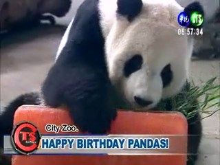 Happy Birthday Pandas!